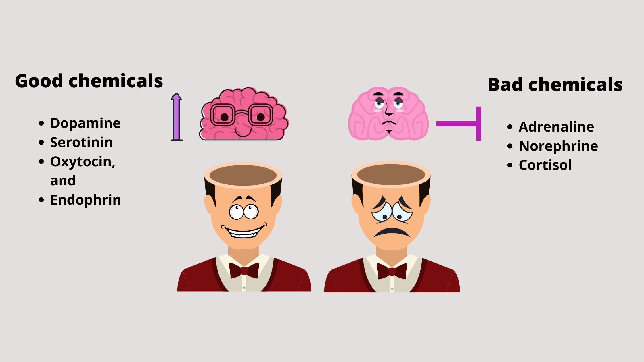 Impact of likes and dislikes on the chemicals the body produces