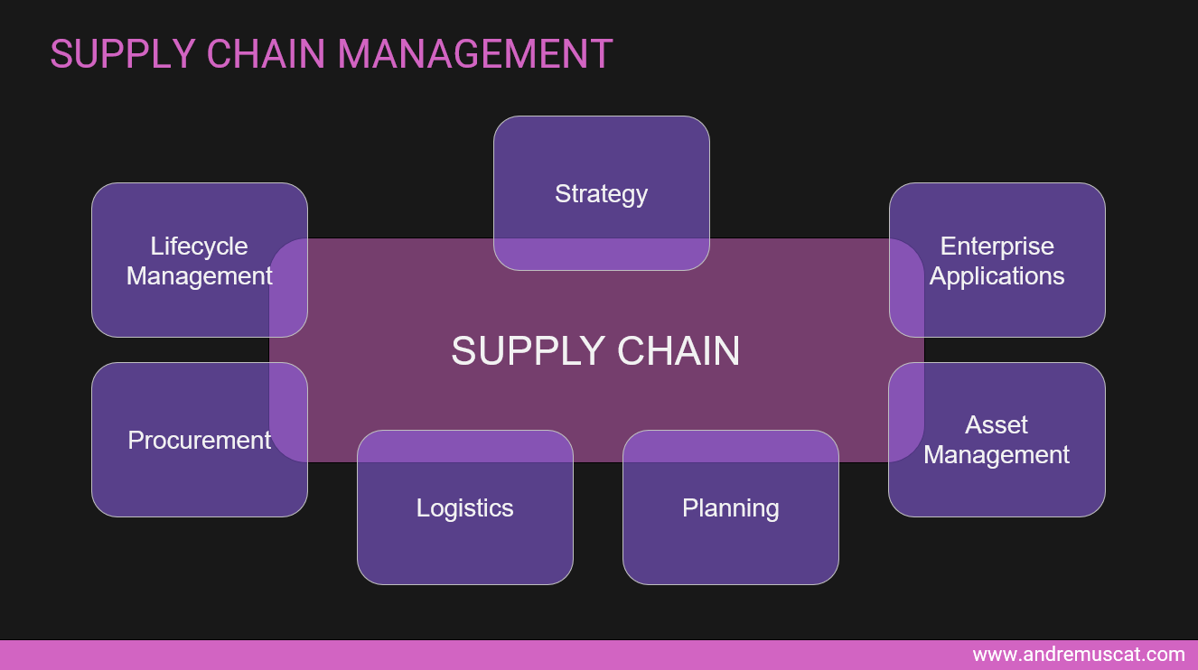 Visualising the supply and value chain 2