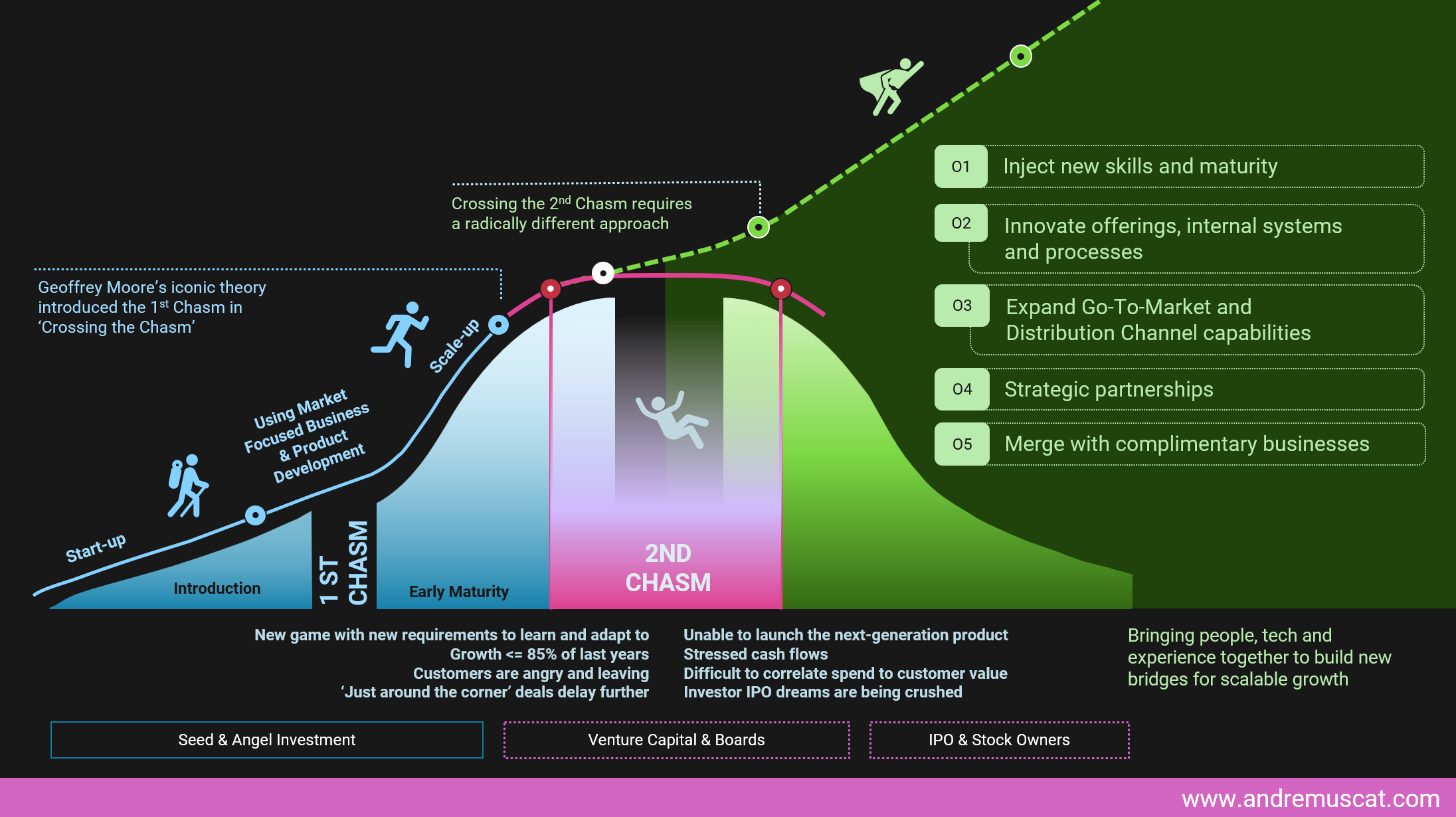 Scaling Product and Consultancy-Service Businesses Organically and Inorganically through M&A