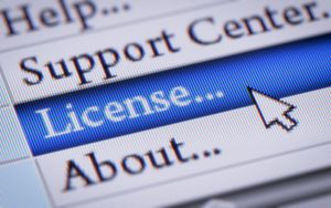 Do you own the software purchased?